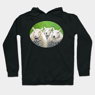 Three Sheep (green background) Hoodie